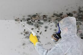 Best Mold Removal for HVAC Installations  in Estelle, LA